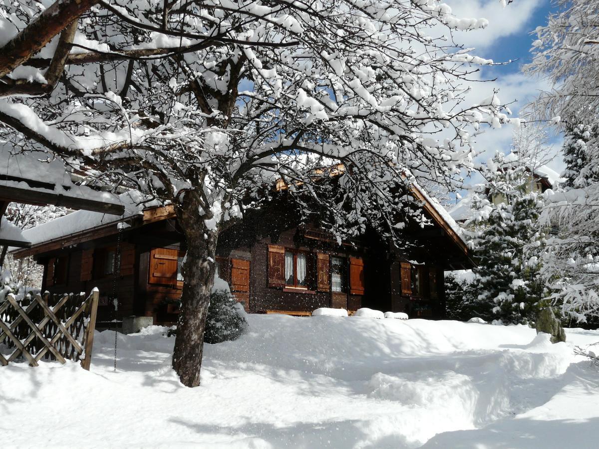 Chalet Des Glaciers شامونكس المظهر الخارجي الصورة