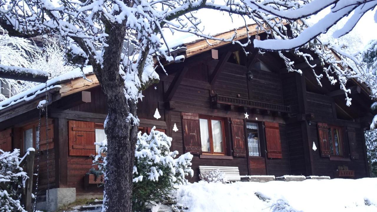 Chalet Des Glaciers شامونكس المظهر الخارجي الصورة